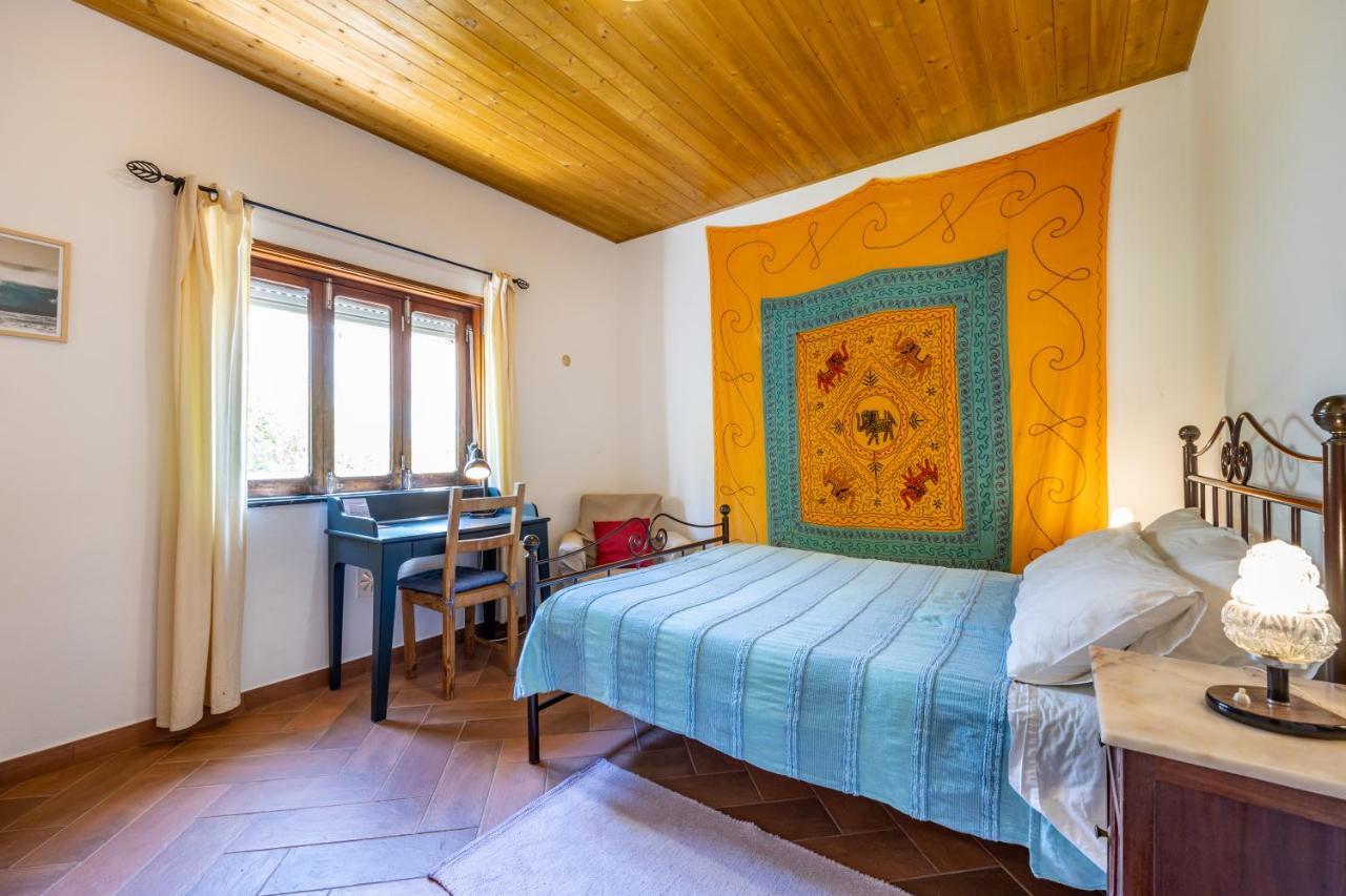 Homestay Casa Lua